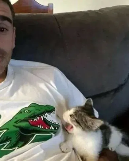 ‘Why I Should Have A Cat’ Page Shared 51 Pics That Could Turn You Into A Cat Person