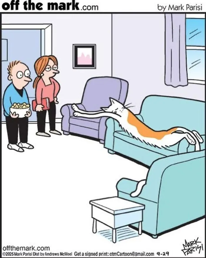 Hilarious Life With Cats Perfectly Captured In 37 New Comics By Mark Parisi
