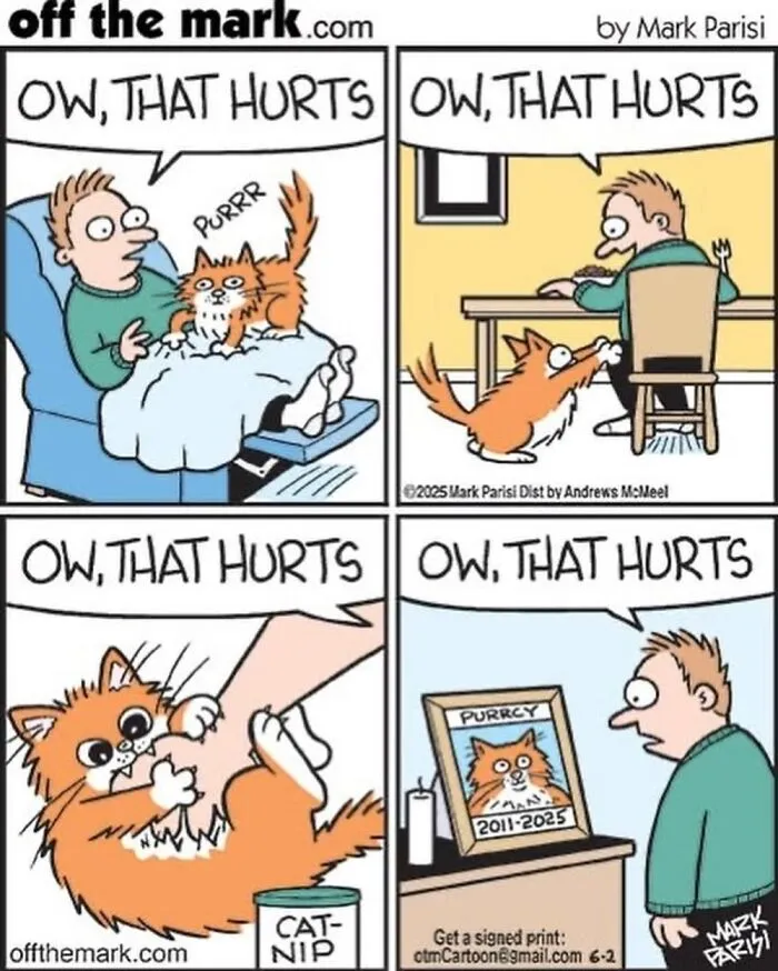 Hilarious Life With Cats Perfectly Captured In 37 New Comics By Mark Parisi