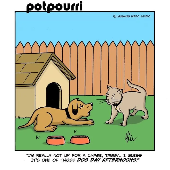 28 One-Panel Comics That Anyone Who Has Ever Been Judged By A Cat Will Instantly Relate To