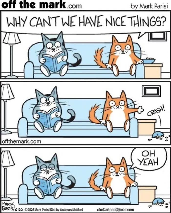 Hilarious Life With Cats Perfectly Captured In 37 New Comics By Mark Parisi