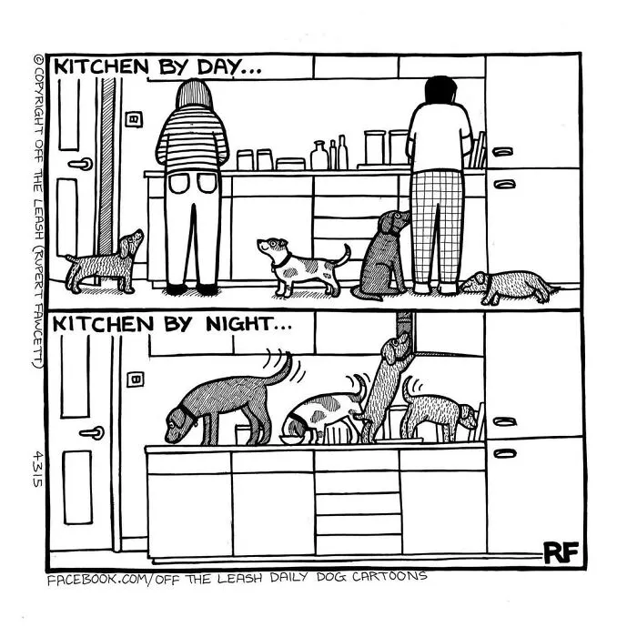Off The Leash cartoon: Two scenes showing dogs in a kitchen; one during the day and one at night.
