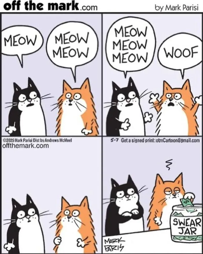 Hilarious Life With Cats Perfectly Captured In 37 New Comics By Mark Parisi