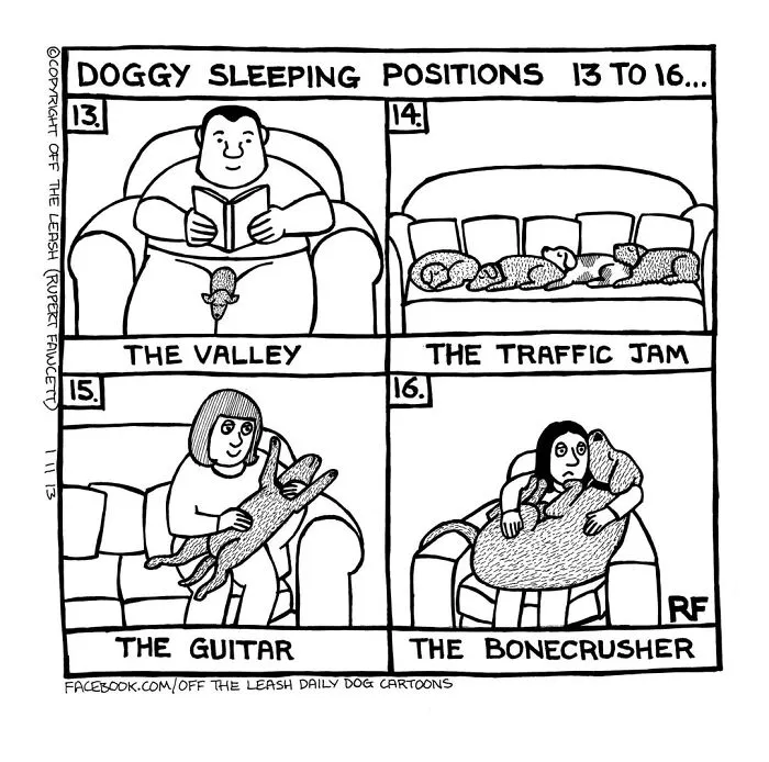 A comic depicting funny dog sleeping positions that any dog owner would understand.