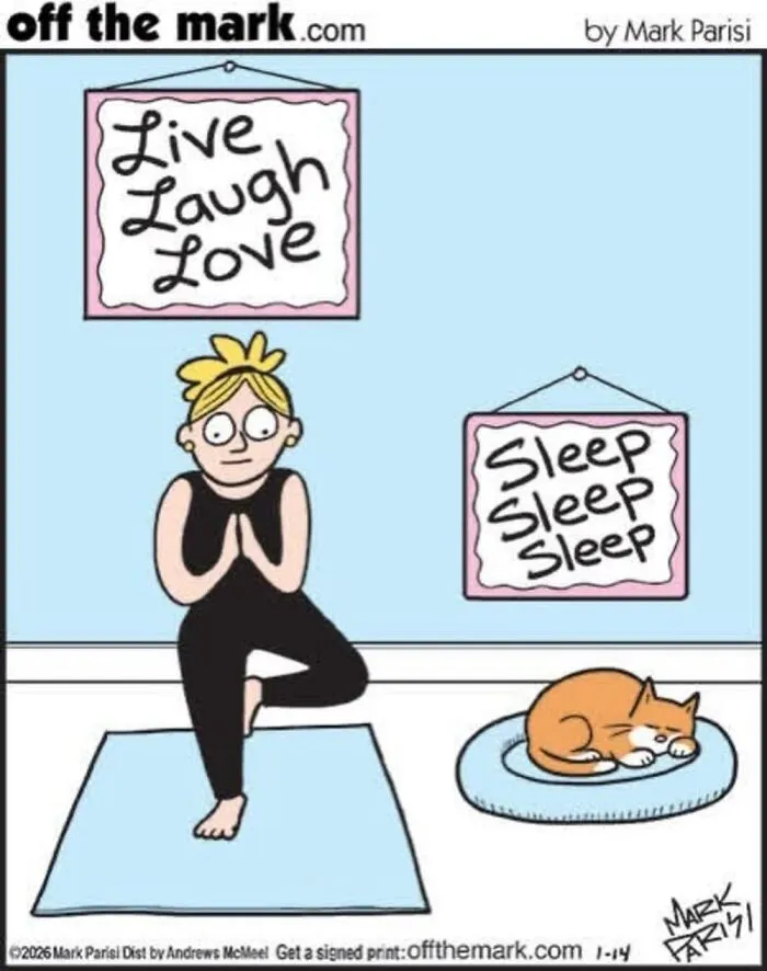 Hilarious Life With Cats Perfectly Captured In 37 New Comics By Mark Parisi