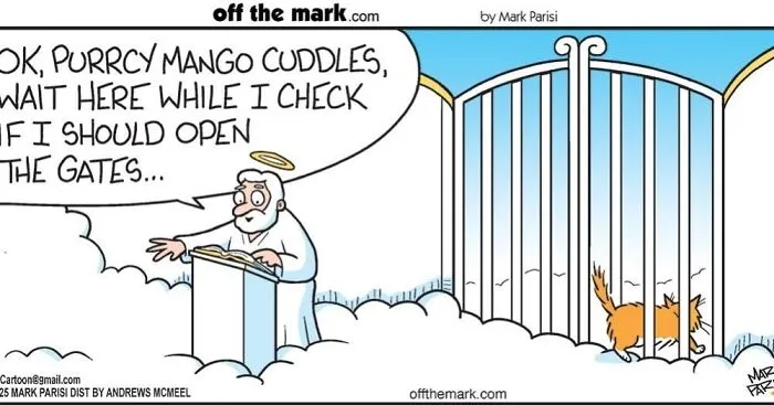 Hilarious Life With Cats Perfectly Captured In 37 New Comics By Mark Parisi