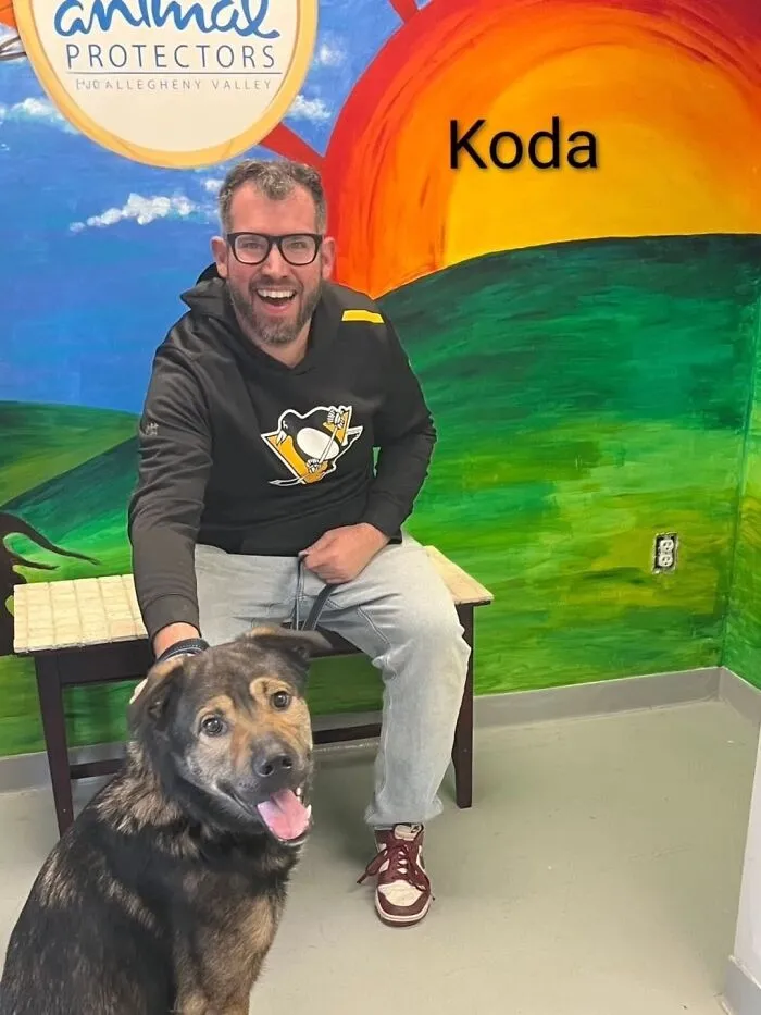 A Viral AI Video Showed Dogs Choosing Their Humans, And One Shelter Decided To Try It in Real Life (40 Pics)