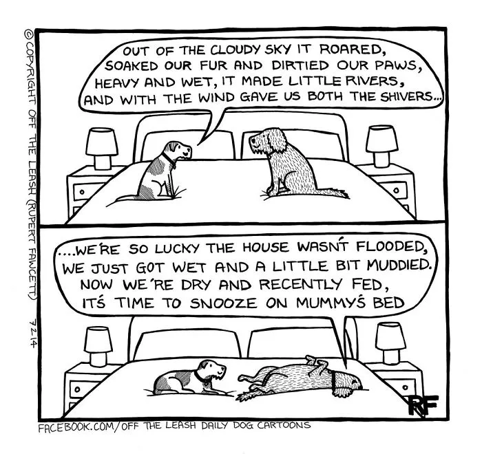 Off The Leash cartoon: Two dog owner's dogs discuss a rainy day and snuggling in Mummy's bed.