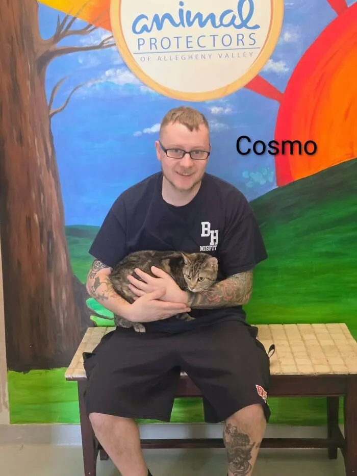 A Viral AI Video Showed Dogs Choosing Their Humans, And One Shelter Decided To Try It in Real Life (40 Pics)