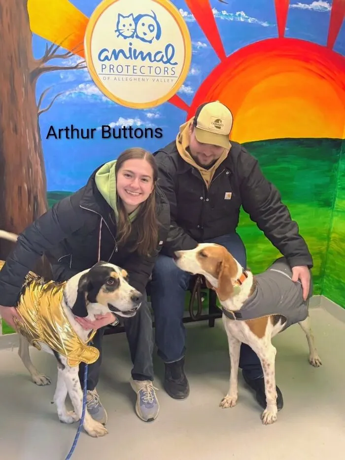 A Viral AI Video Showed Dogs Choosing Their Humans, And One Shelter Decided To Try It in Real Life (40 Pics)