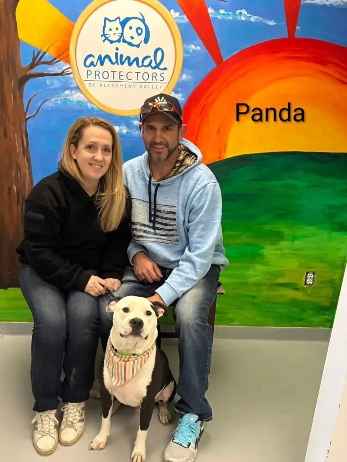 A Viral AI Video Showed Dogs Choosing Their Humans, And One Shelter Decided To Try It in Real Life (40 Pics)