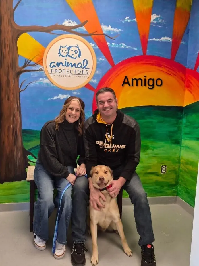 A Viral AI Video Showed Dogs Choosing Their Humans, And One Shelter Decided To Try It in Real Life (40 Pics)