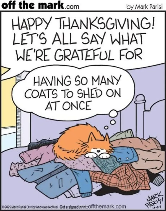 Hilarious Life With Cats Perfectly Captured In 37 New Comics By Mark Parisi