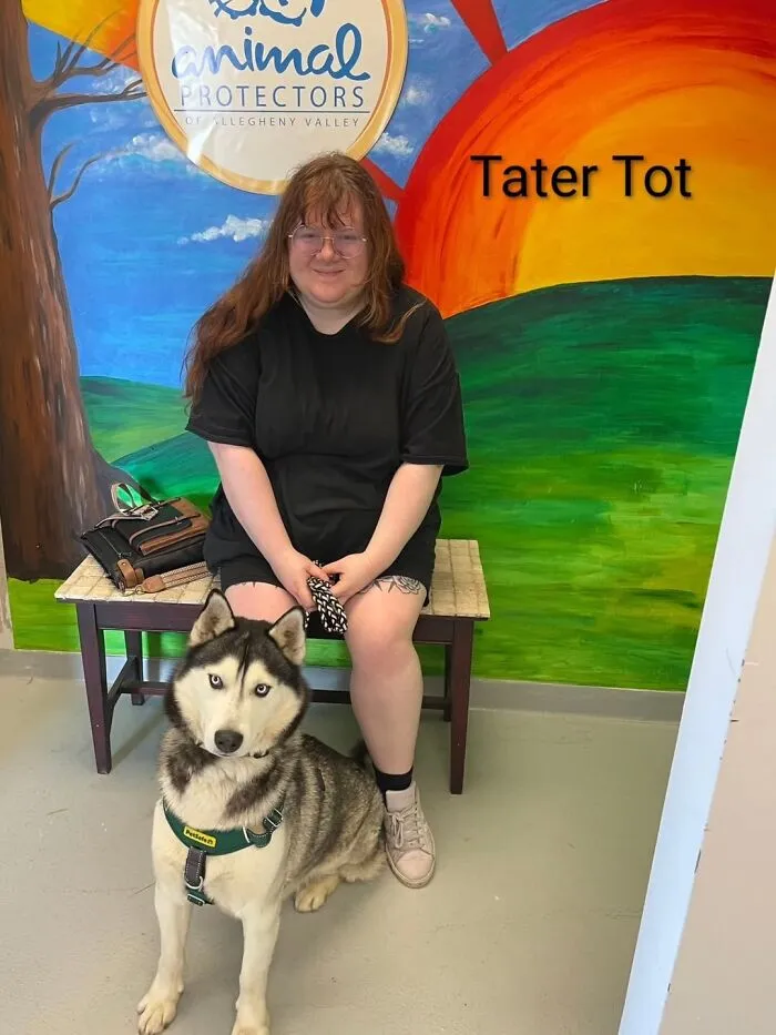 A Viral AI Video Showed Dogs Choosing Their Humans, And One Shelter Decided To Try It in Real Life (40 Pics)