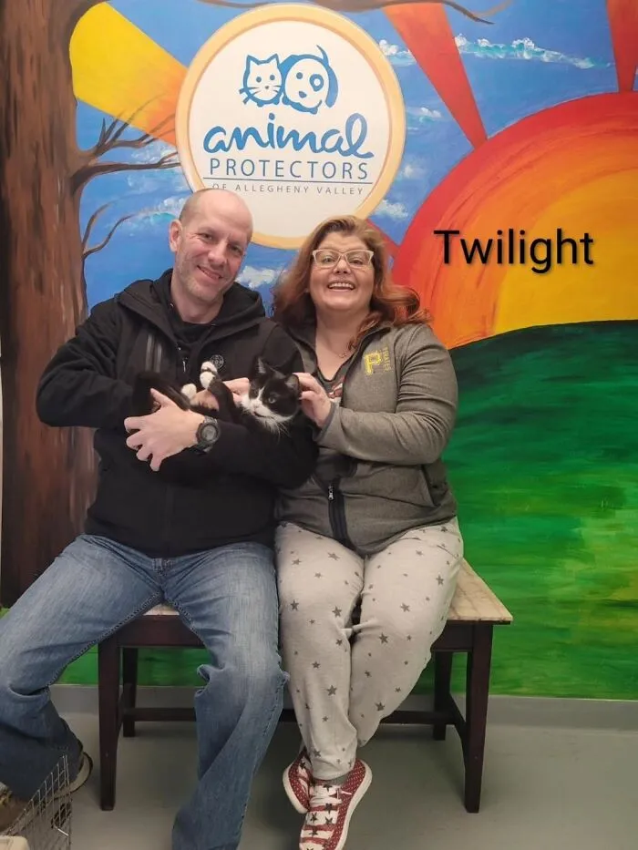 A Viral AI Video Showed Dogs Choosing Their Humans, And One Shelter Decided To Try It in Real Life (40 Pics)