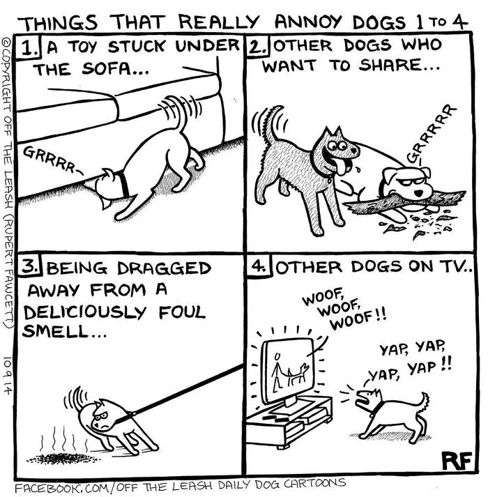 Four panels show things that annoy dogs, from a toy stuck under a sofa to other dogs on TV, in Off The Leash cartoons.