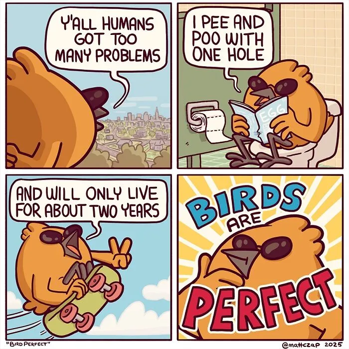 50 Comics Embracing The Absurd Reality We Live In, By Matt Czap