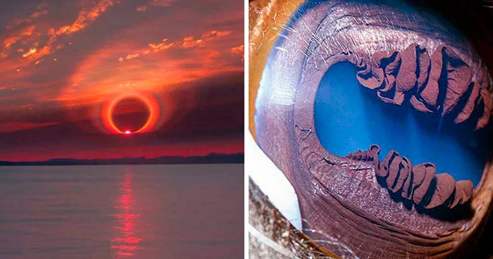 70 Weird Events From Around The World That Still Don’t Feel Entirely Real (New Pics)