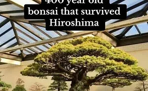 83 Cool Facts That Might Change How You See The World