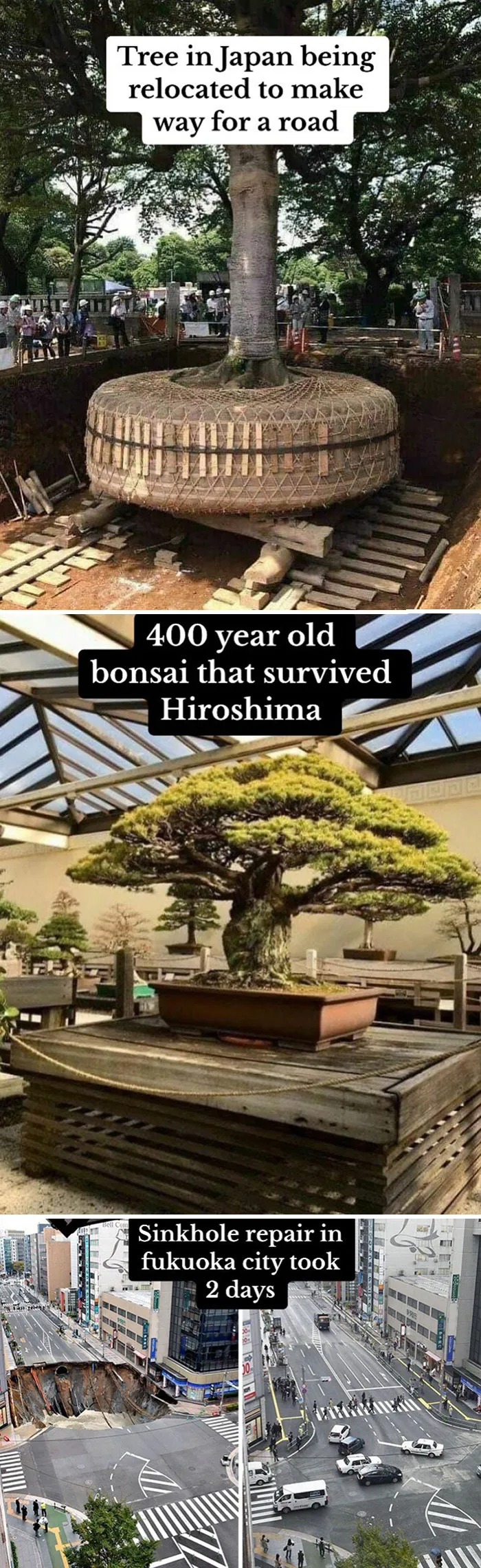 83 Cool Facts That Might Change How You See The World