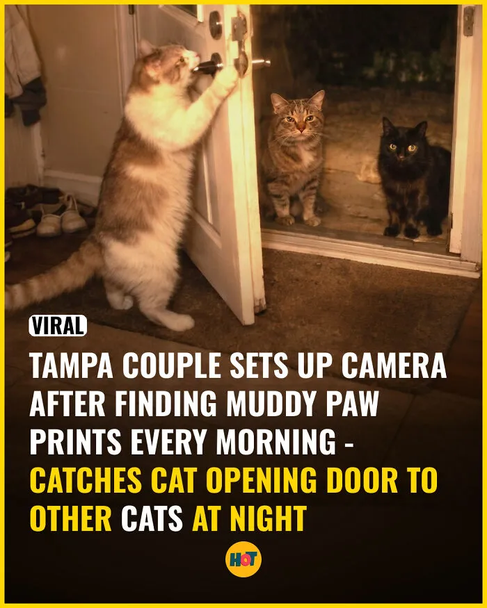 These 81 Cool Facts Are Perfect For Your Daily Dose Of “Whoa”