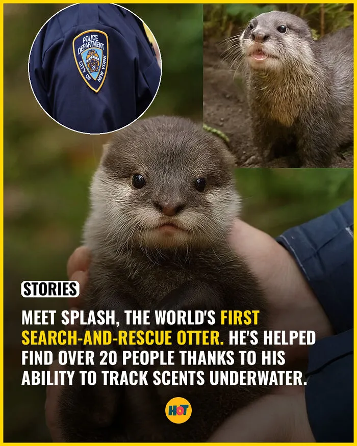 These 81 Cool Facts Are Perfect For Your Daily Dose Of “Whoa”