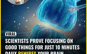 These 81 Cool Facts Are Perfect For Your Daily Dose Of “Whoa”