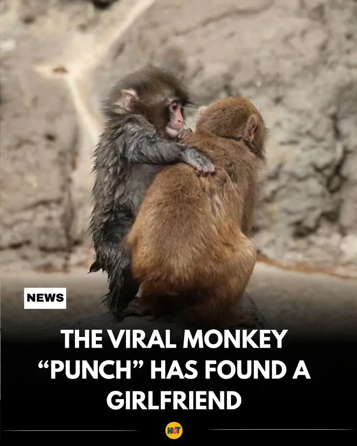 These 81 Cool Facts Are Perfect For Your Daily Dose Of “Whoa”