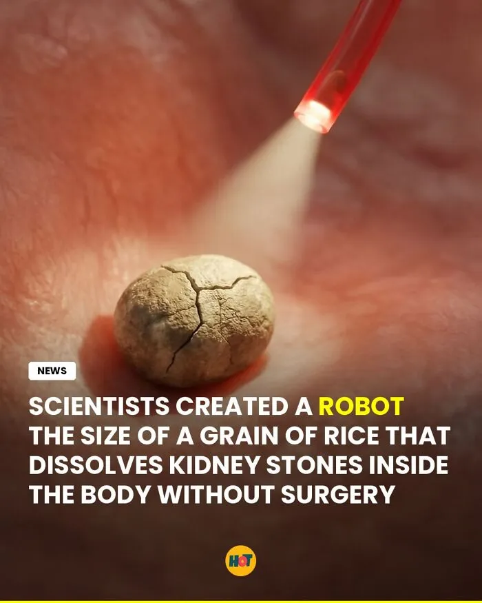 These 81 Cool Facts Are Perfect For Your Daily Dose Of “Whoa”