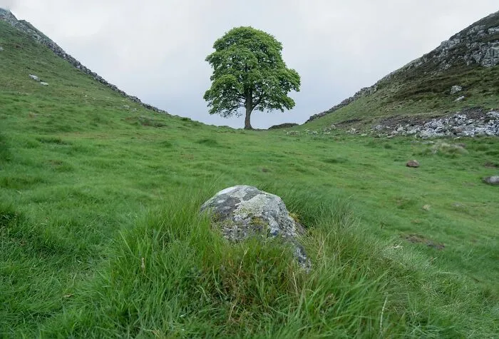 47 Times Archaeologists Dug Up Surprising Finds That Should Have Been Major News