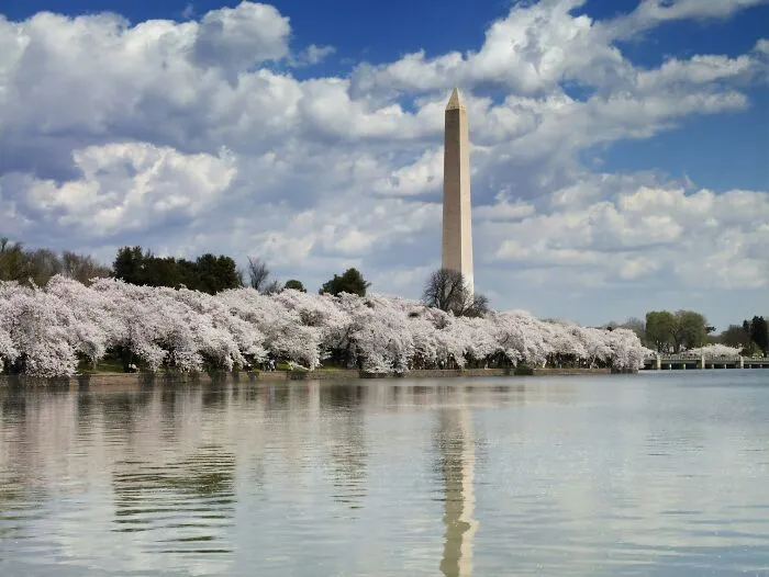 “Many People Still Believe It”: 25 Silly Yet Popular Myths About Iconic Landmarks Around The World