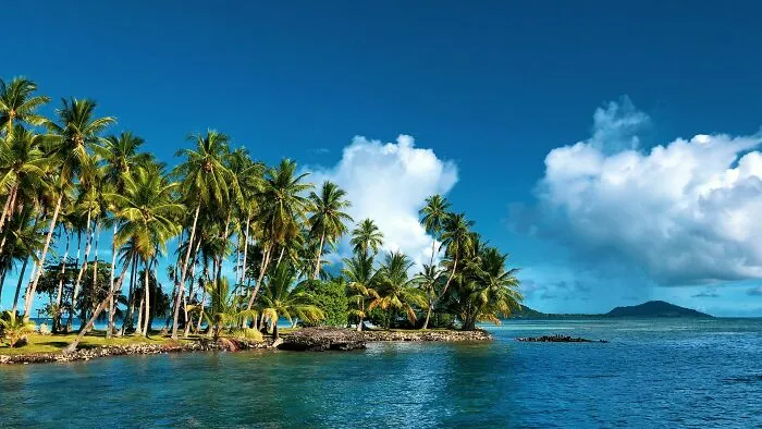 Tropical island with palm trees under a bright sky, illustrating proven facts once considered stories and speculations.