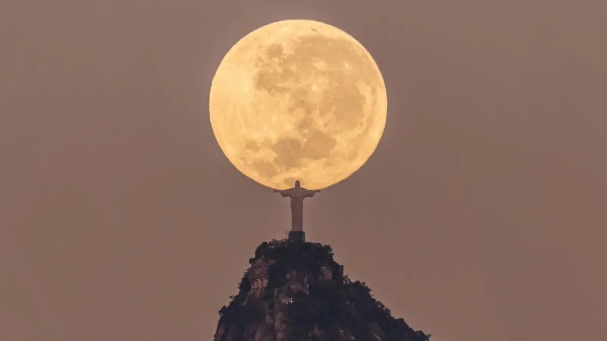 49 Photos That Show Just How Strange And Spectacular Everyday Life Can Be (New Pics)