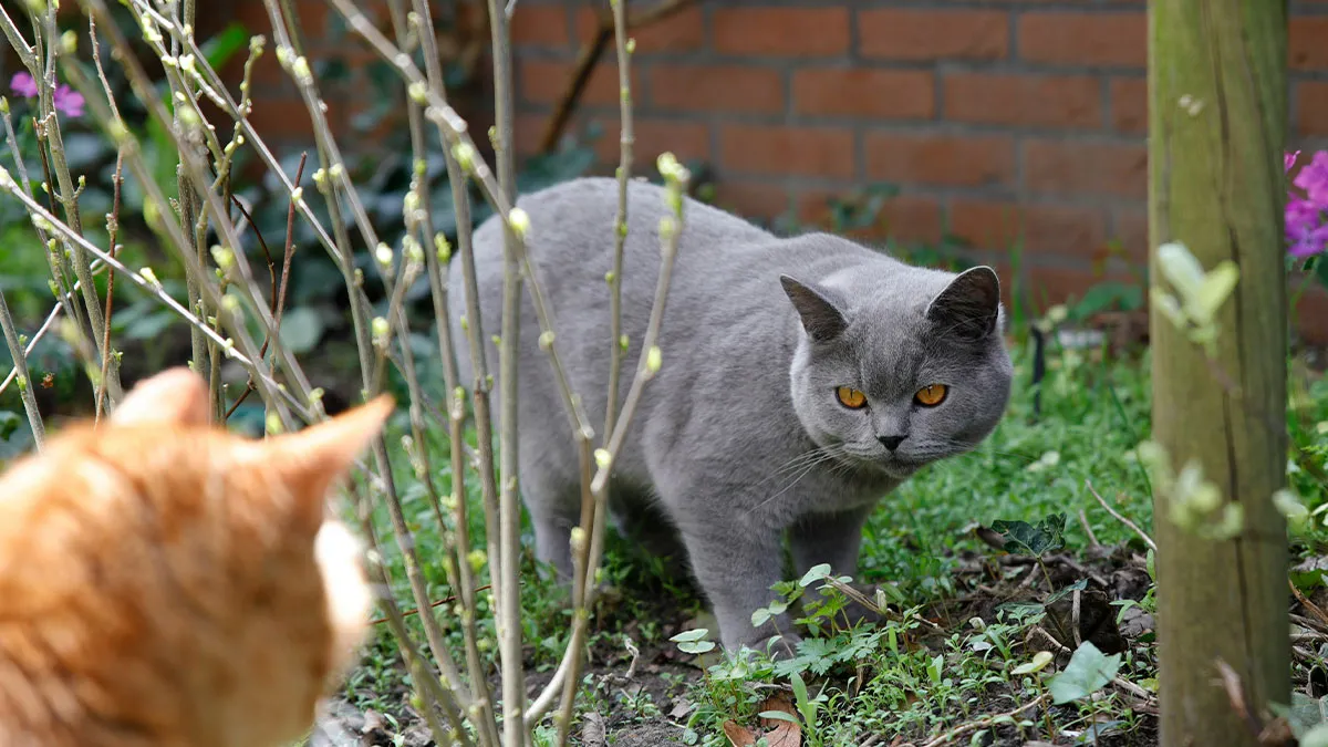 59 People Reveal The Most Impressive Petty Revenge They’ve Ever Pulled Off