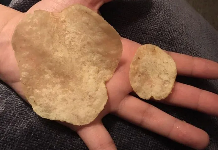 59 People Reveal The Most Impressive Petty Revenge They’ve Ever Pulled Off