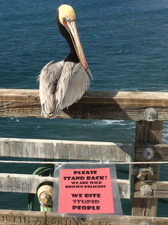 61 Bizarre Places People Found Hilarious (Not So) Useful Life Advice