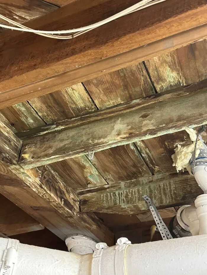 79 People Share The Strange Things Previous Owners Left Behind In Their Homes