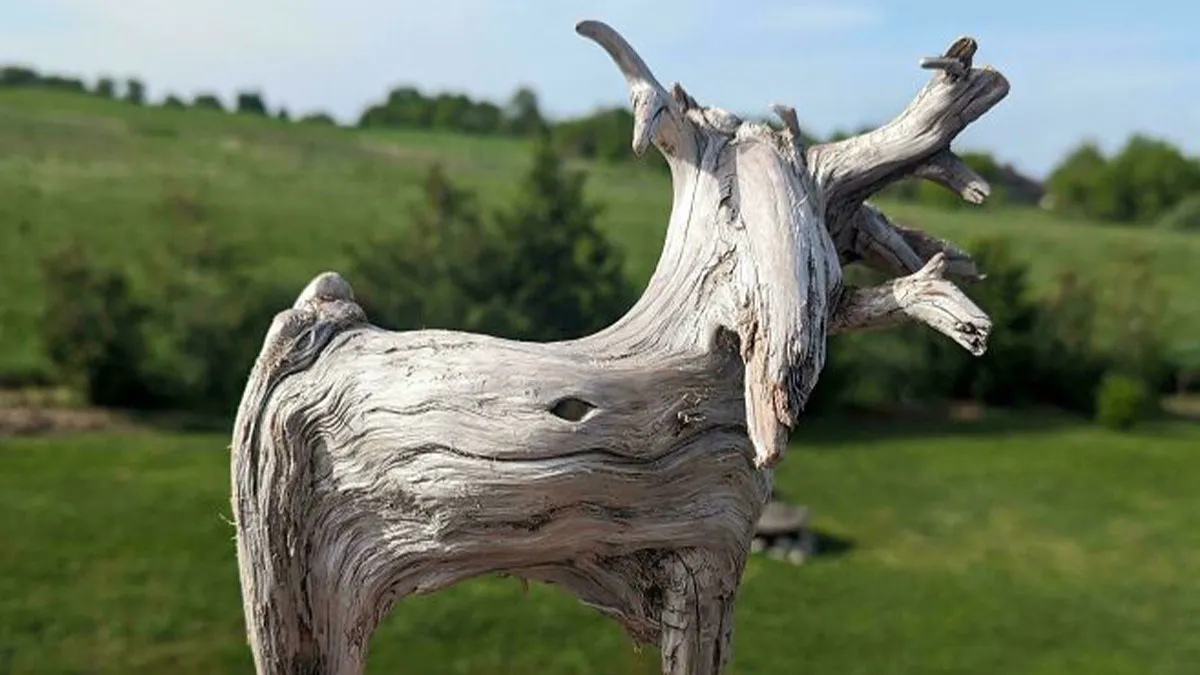 “Did I Win The Stick Lottery”: 57 Incredible Sticks People Have Been Lucky Enough To Find