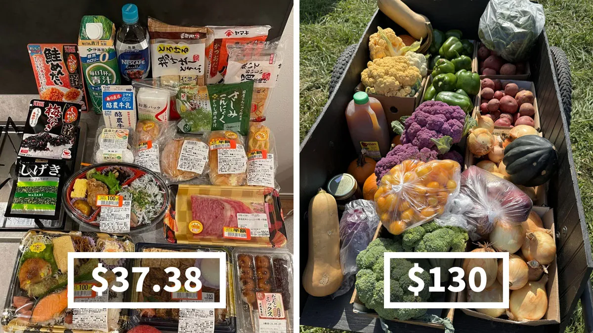 99 People Show How Much Groceries Cost Where They Live And It’s Pretty Bad (New Pics)