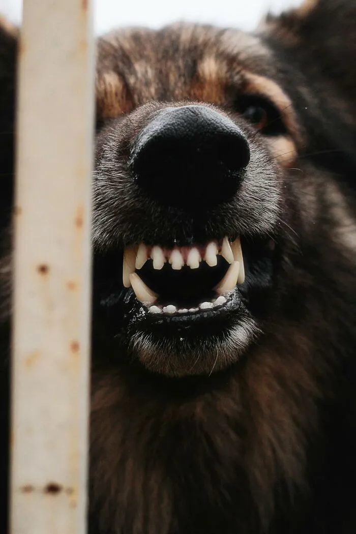 Even Experienced Medical Professionals Weren’t Prepared For These 57 Horrifying Cases