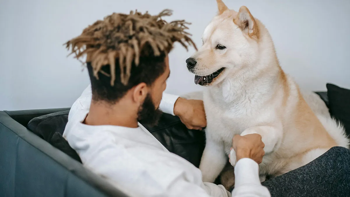 Man Still Remembers Sister Refusing To Watch His Dog, 3 Years Later, Refuses To Watch Her Kids