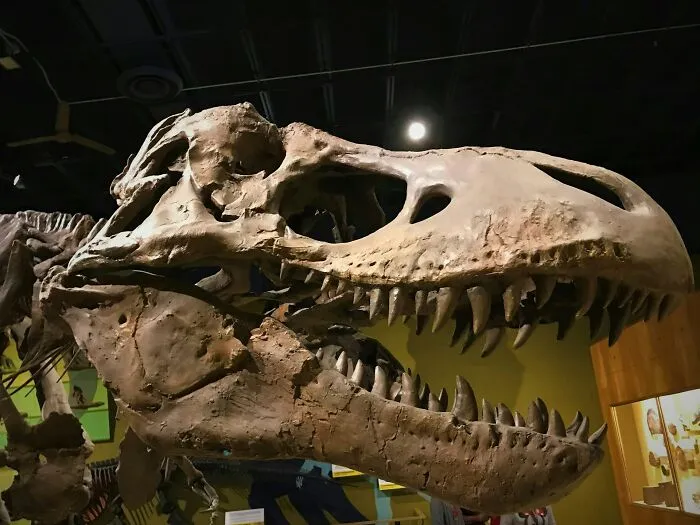 47 Times Archaeologists Dug Up Surprising Finds That Should Have Been Major News