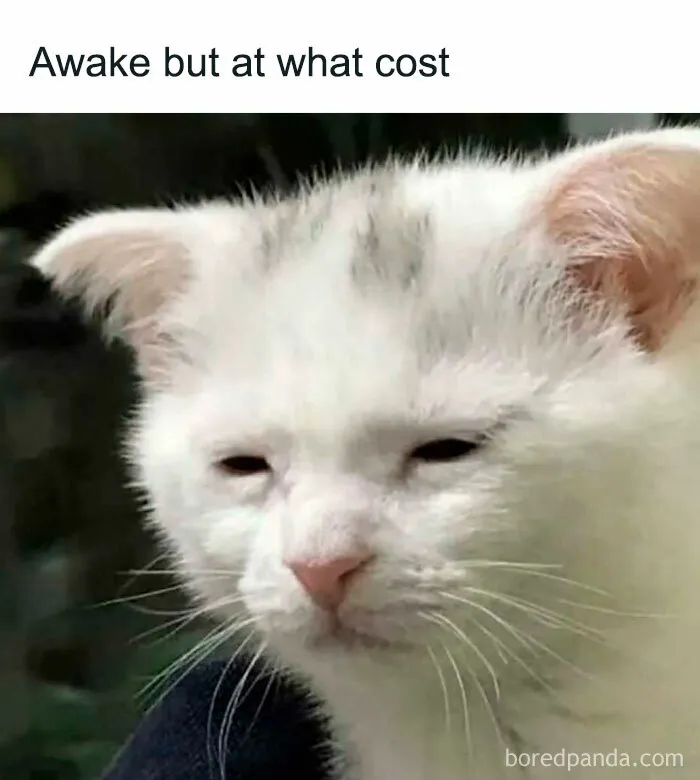 75 Unhinged Posts That Feel Like Pure Internet Chaos