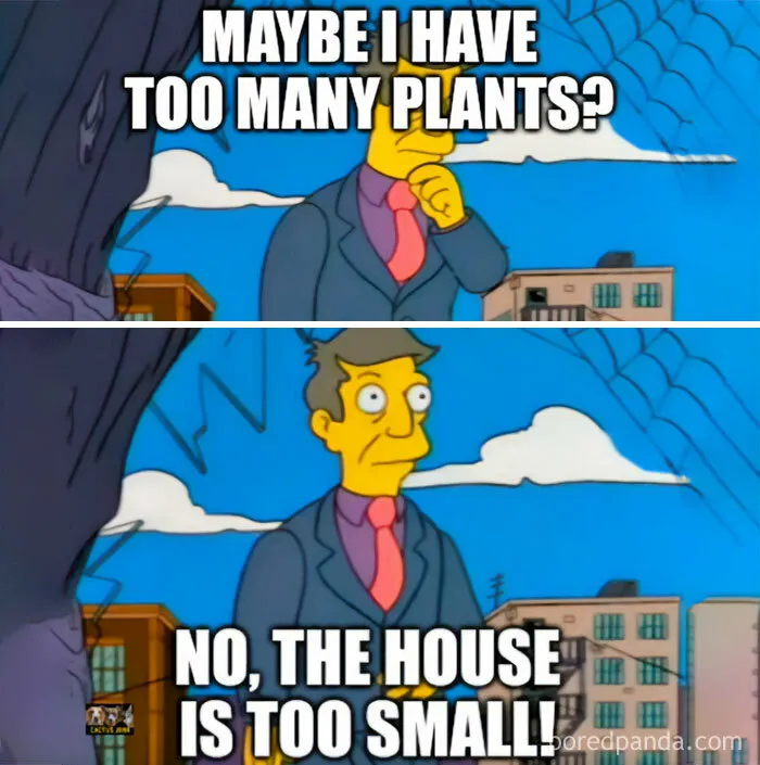 This IG Page Is Rife With Funny Plant Memes, And These 59 Are The Best So Far (New Pics)