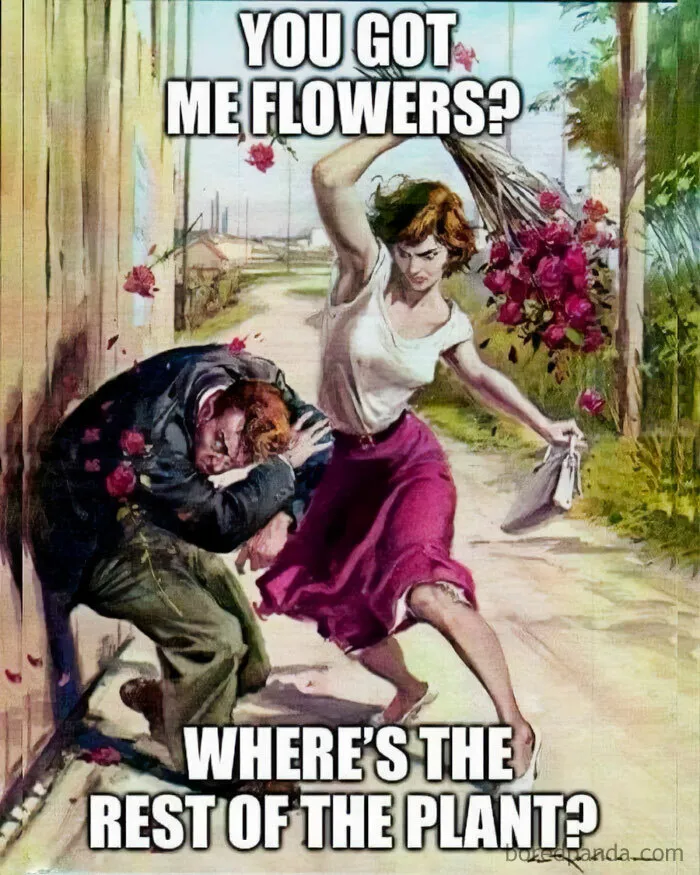 This IG Page Is Rife With Funny Plant Memes, And These 59 Are The Best So Far (New Pics)