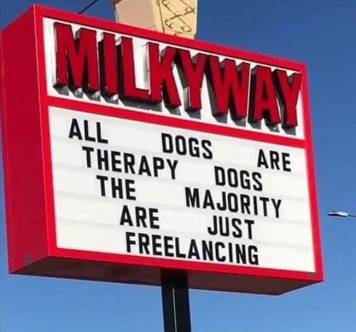 61 Hilarious Memes Featuring Cute, Funny And Mischevious Dogs