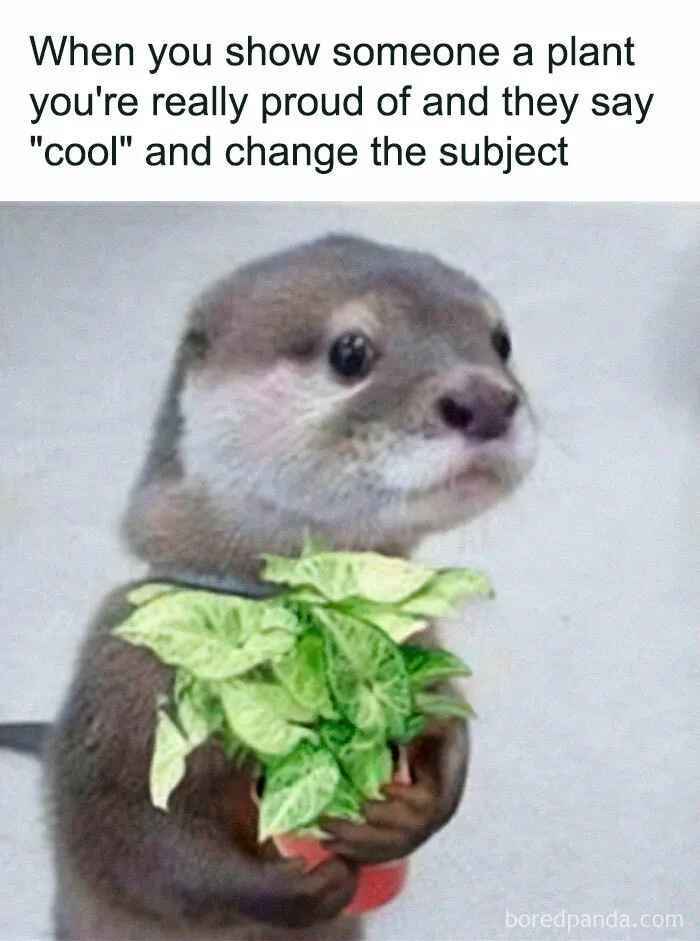 This IG Page Is Rife With Funny Plant Memes, And These 59 Are The Best So Far (New Pics)
