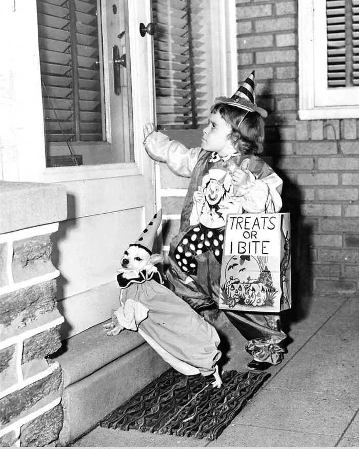 45 Historical Moments That Show The Unchanging Bond Between Dogs And Humans Shared By This Community