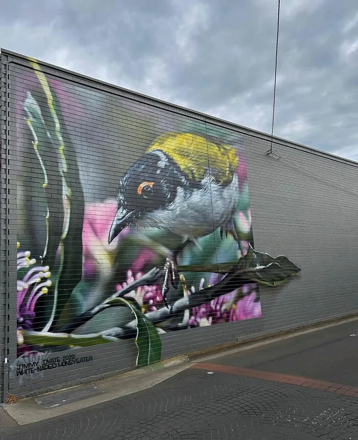 This Page Shared 50 Stunning Street Art Pieces That Bring More Imagination To The Streets