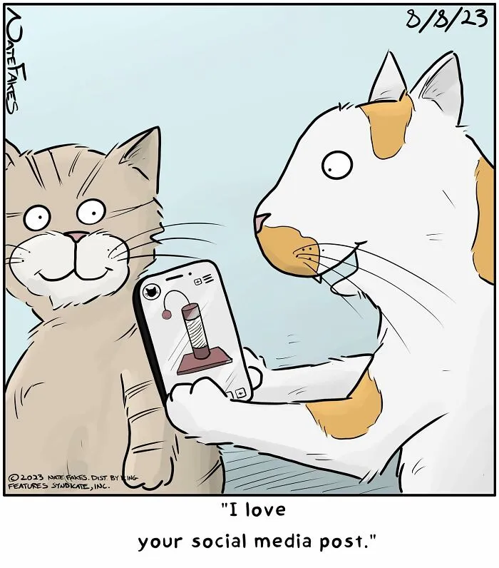 26 Funny Comics That Perfectly Capture The Strange World Of Cats
